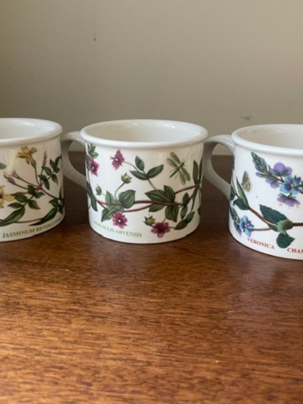 LOT of 3 Portmeirion Botanic Garden Floral Drum Cups Mugs Britain w/ Coasters